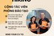 EIV Đà Nẵng tuyển Cộng tác viên Phòng Đào tạo 